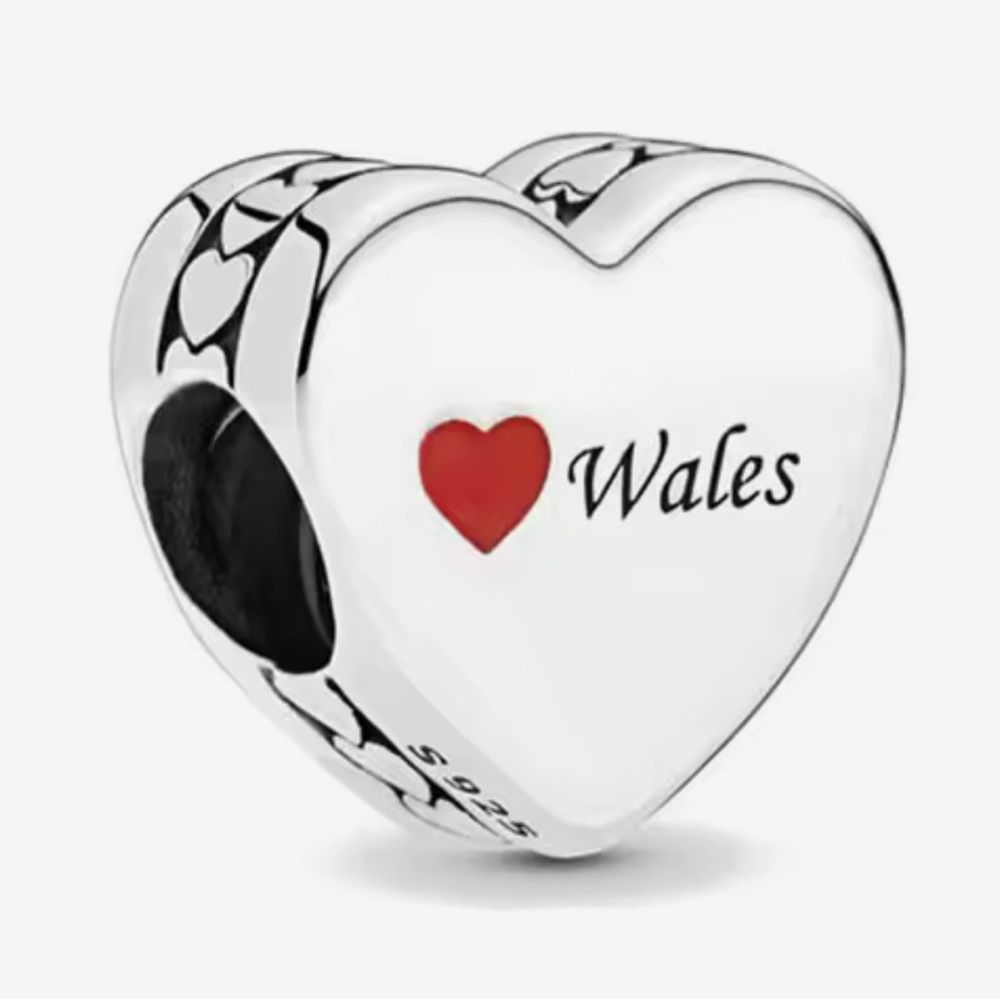 🌻 S925 Sterling Silver Wales Charm